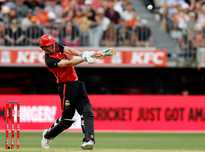 的主教练在 的主教练在