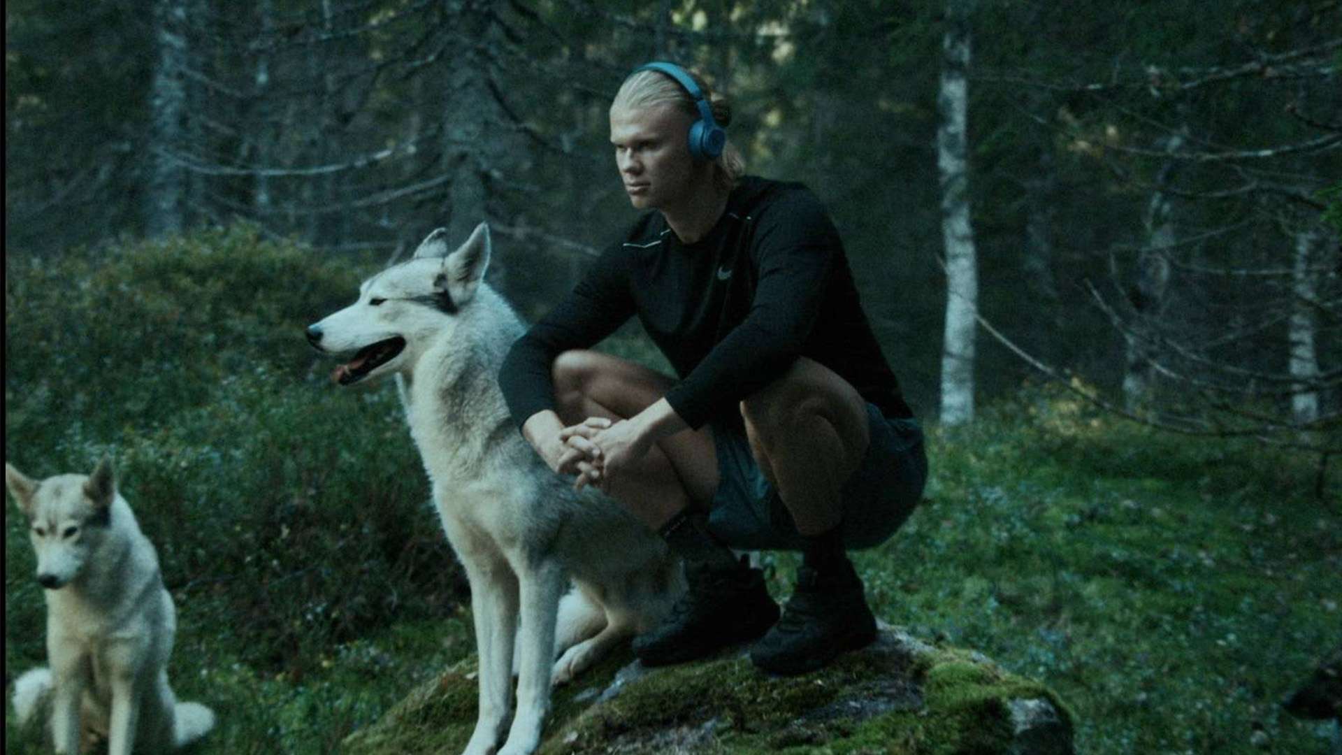 尤其是一些 尤其是一些